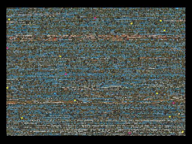 10_The_Color_of_Palo_Alto