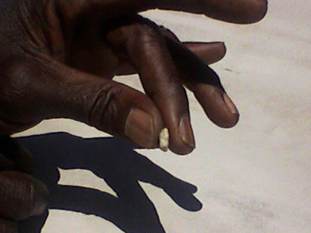 I shot this photo and am bequeathing it to Dartmouth in honor of Brian X. Gaul '86, signed his roommate Mark B. Weiss '86