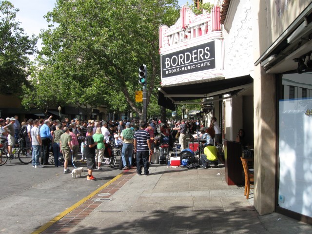 dog watching jazz pajq varsity