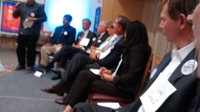 Click the photo for names of the candidates, September, 2014 photo by Mark Weiss, projected winner, as Plastic Alto sees it