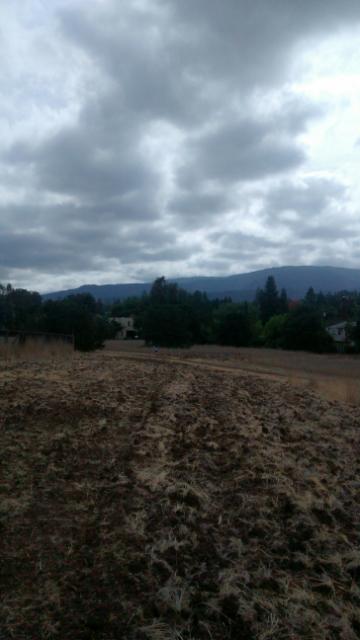 esther clark park palo alto near juana briones adobe former site looking rather bierstadt fall 2014 photo by mark weiss motox4