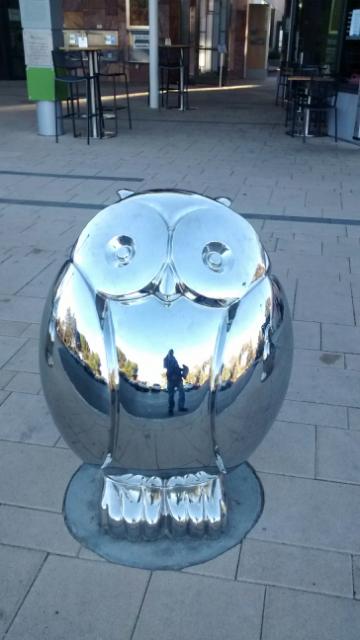 from emerson to oldham, let us reflect, this shabbat