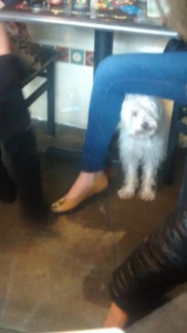 Darby and Tory Burches