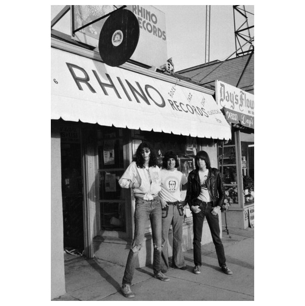 Howard Stern, Richard Stern and David Stern, the rhinoplasty brothers?