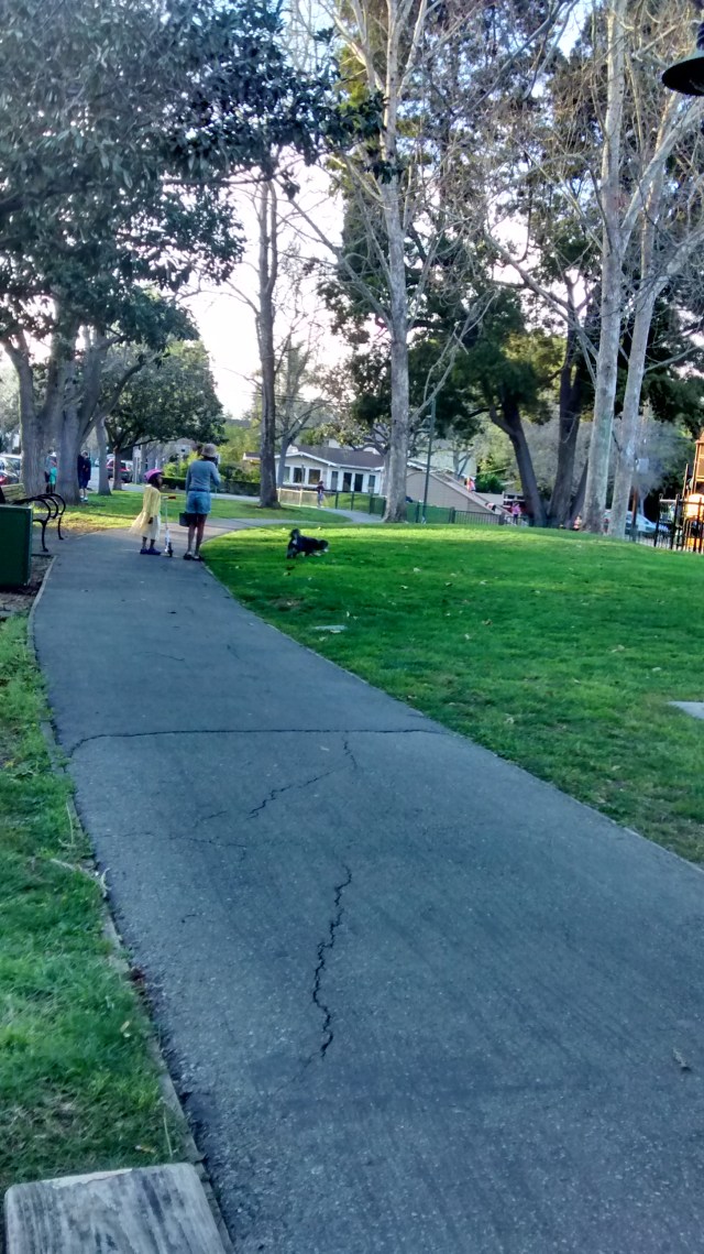 IMG_20150315_181825627_HDR