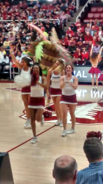 A tree grows in Maples