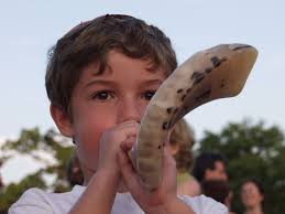 youngshofar