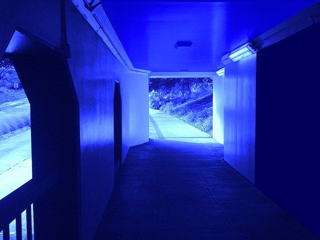 almost blue, in Palo Alto, the new subterraneans, Ala and Binta