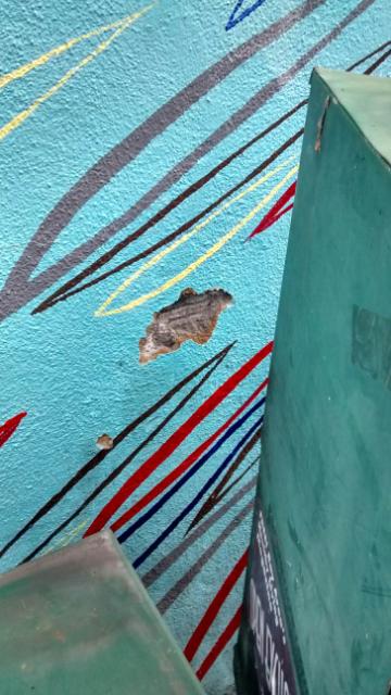 johansonmuraldamage12:15