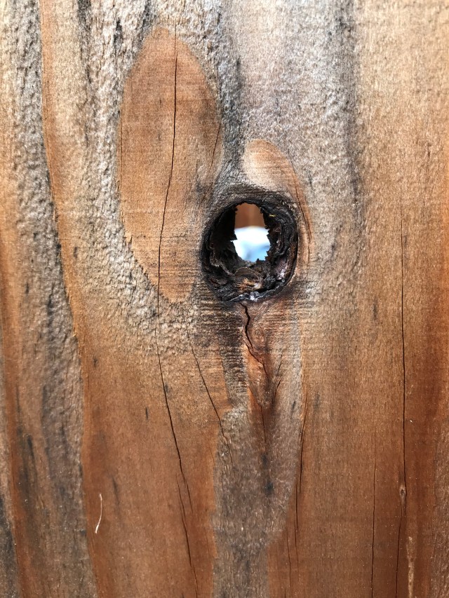 47070270-6CB6-46A6-9A93-3D45E3164E23