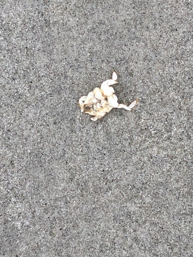 853C568C-2A9C-425D-9D05-444E578CDA6E