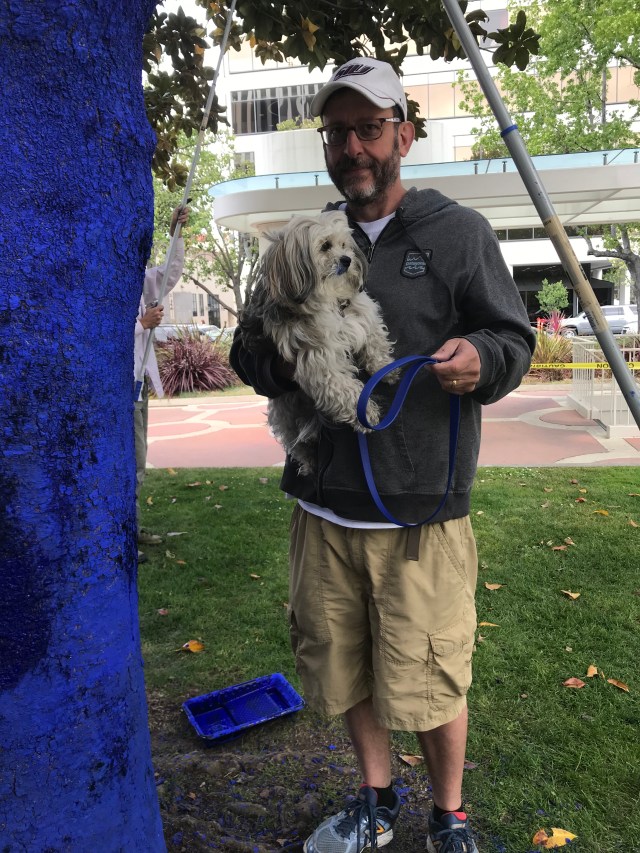 8D55C8F0-CFE2-436B-88F8-FB3ACE1074A3