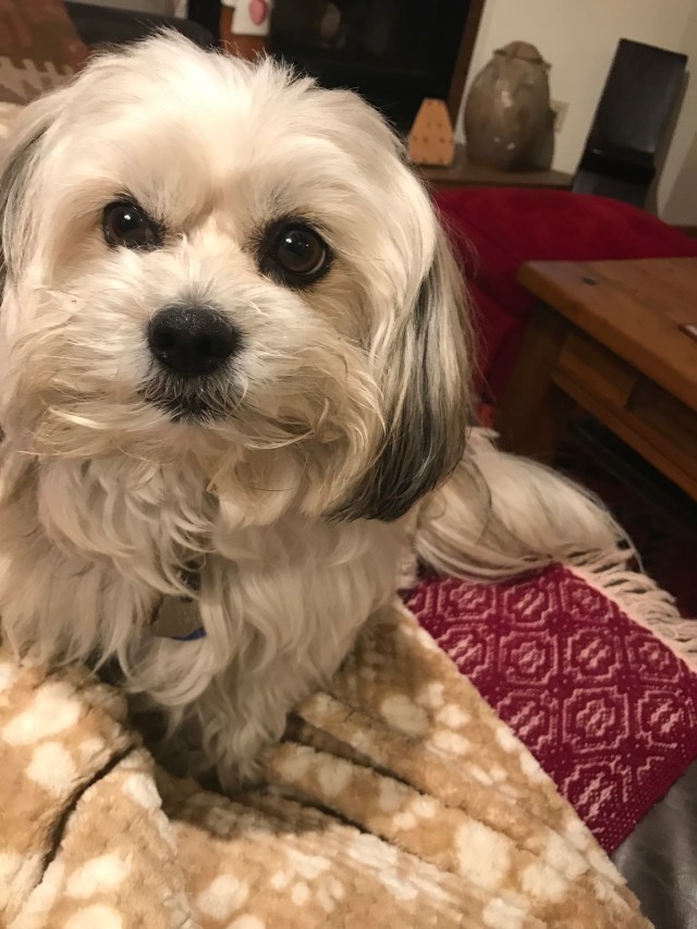 ADB7E971-0119-4C06-9884-18A845917562