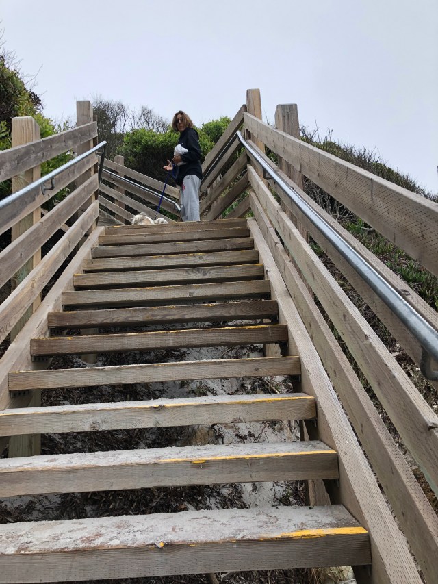 B0CAC33E-E44B-45DA-A8FE-EE416065B43B