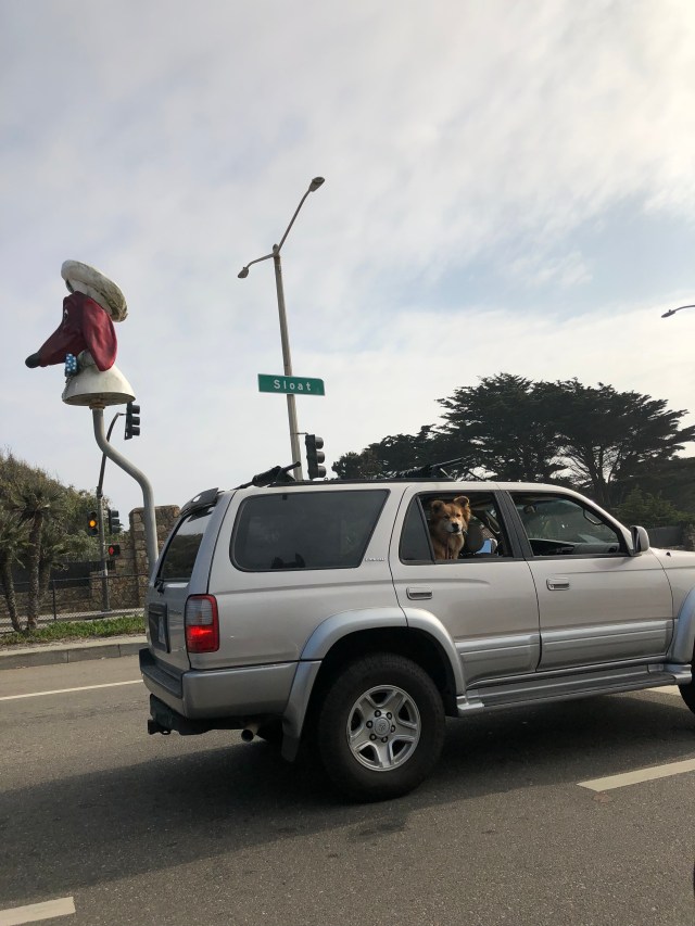 C0163A34-807A-40A8-9051-DBB57169CAE6