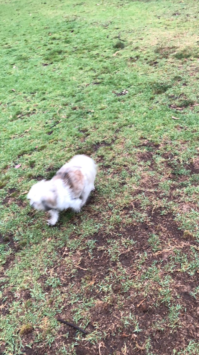 D981A8DA-D4F5-4537-9D72-90BE0FA31AB2