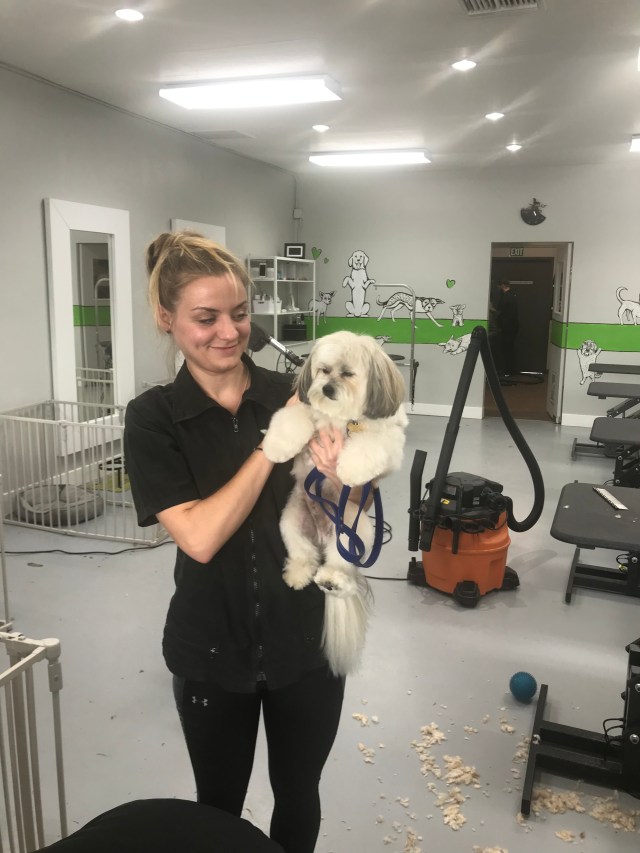 FAB156A5-898C-49B2-A8BD-9879295417AE