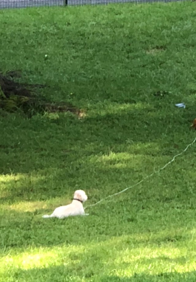 2D72AC3B-1563-4F16-97EF-7B61EA4CA270