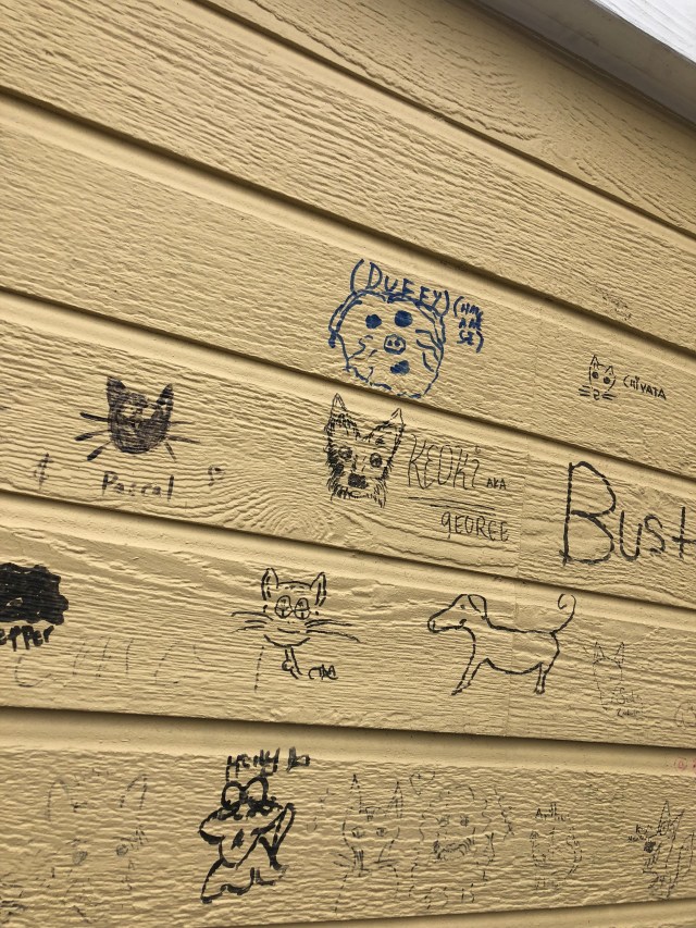 68A97BE1-8250-445B-A848-DDEDF1E0C8F4