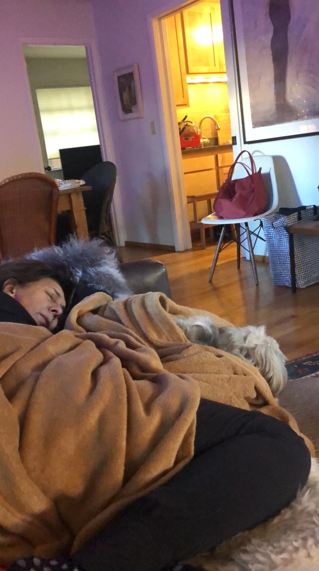 75932D8D-6FC5-4600-A5BE-1AC0CEEFCF8D