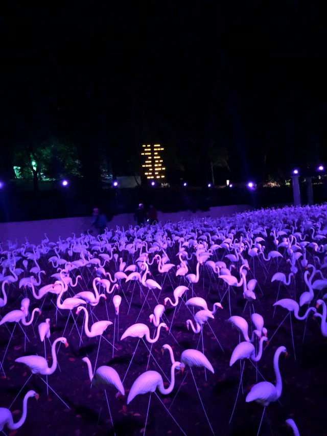 F07580C3-9315-433B-AC68-1729E28EDAA7