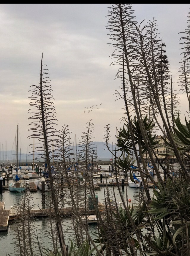 57d8df18-2dd3-4b78-8af2-b75be61d612f