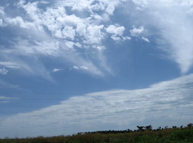 screen shot 2019-01-06 at 9.59.06 am