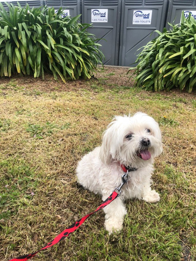 9208BFCD-FF7E-48A0-A586-DD7A780E6A0F