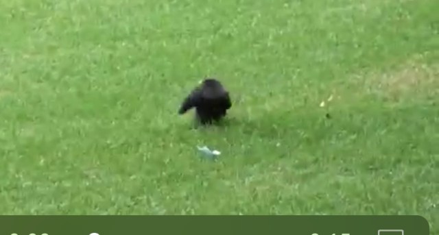 C739C70C-9B59-4E4B-BF19-D7D89D1B4A2E