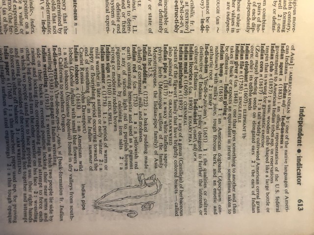 377B15BE-BC09-4222-BE9F-C5F20A06E95D