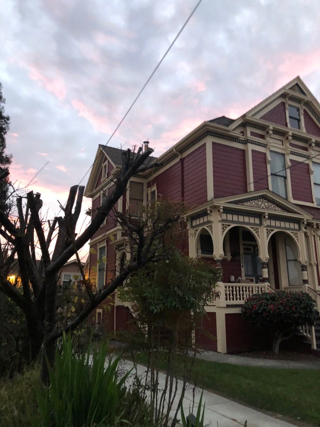 424474EF-C3E4-4245-8B0F-CF1794A2157C