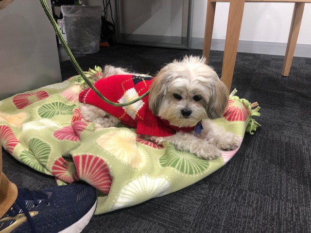 68473563-1965-42D6-ADB0-059BC8242D4B