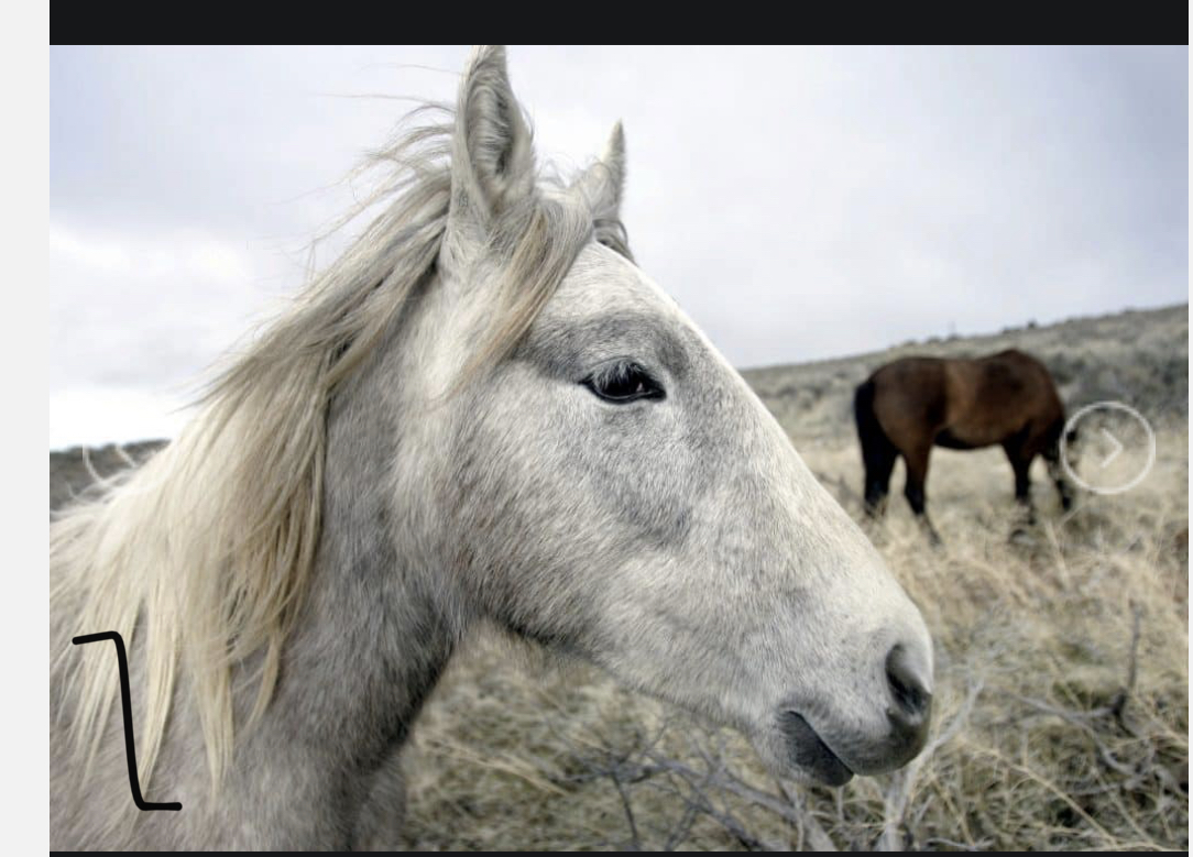 AFB55732-DA6F-4D50-B7BC-681080C654F1