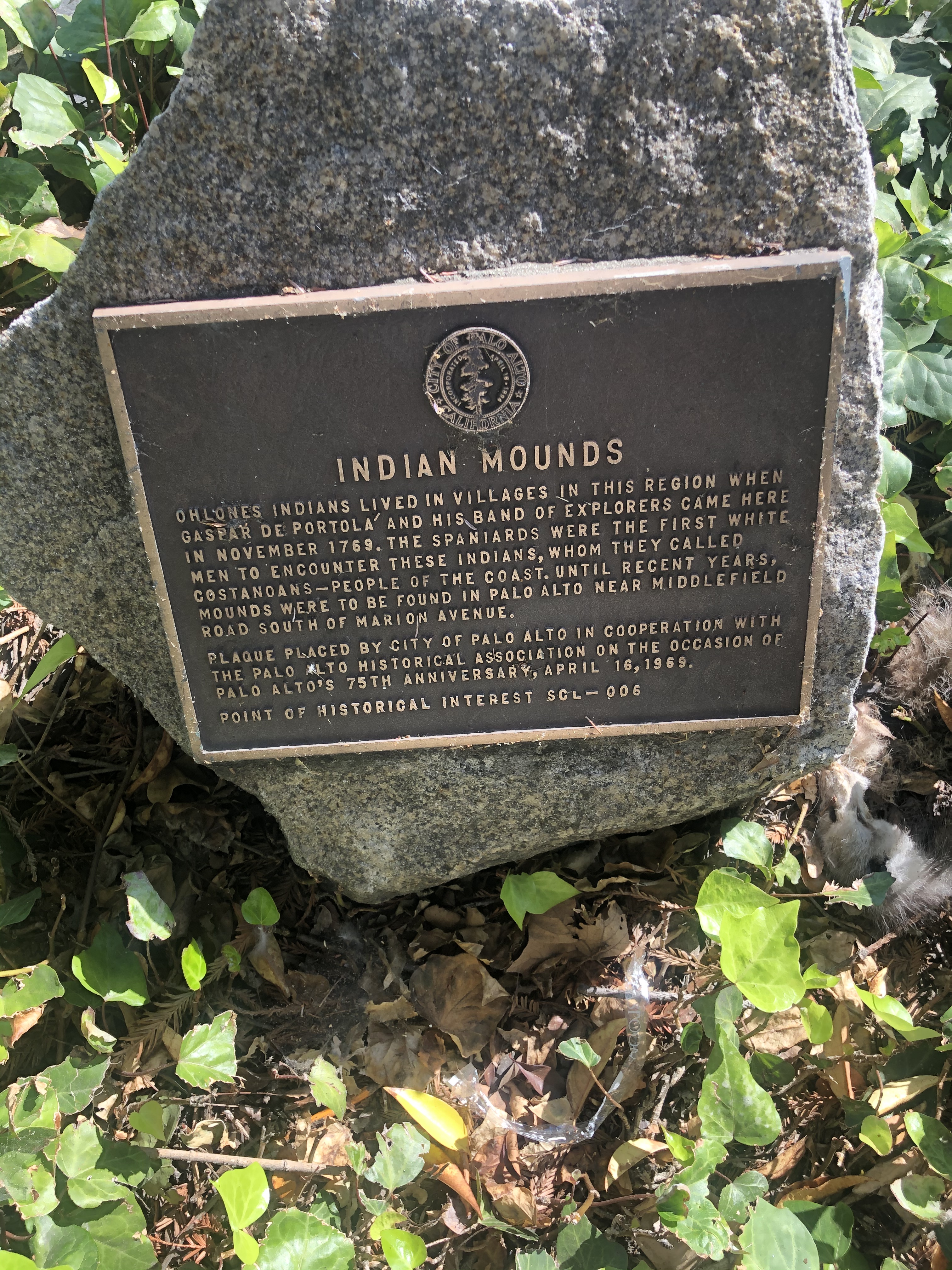 19FD884D-2793-4311-AE7B-CA81D026C584