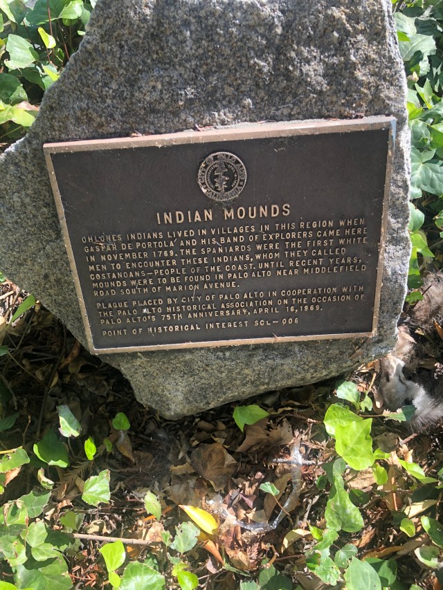 19FD884D-2793-4311-AE7B-CA81D026C584