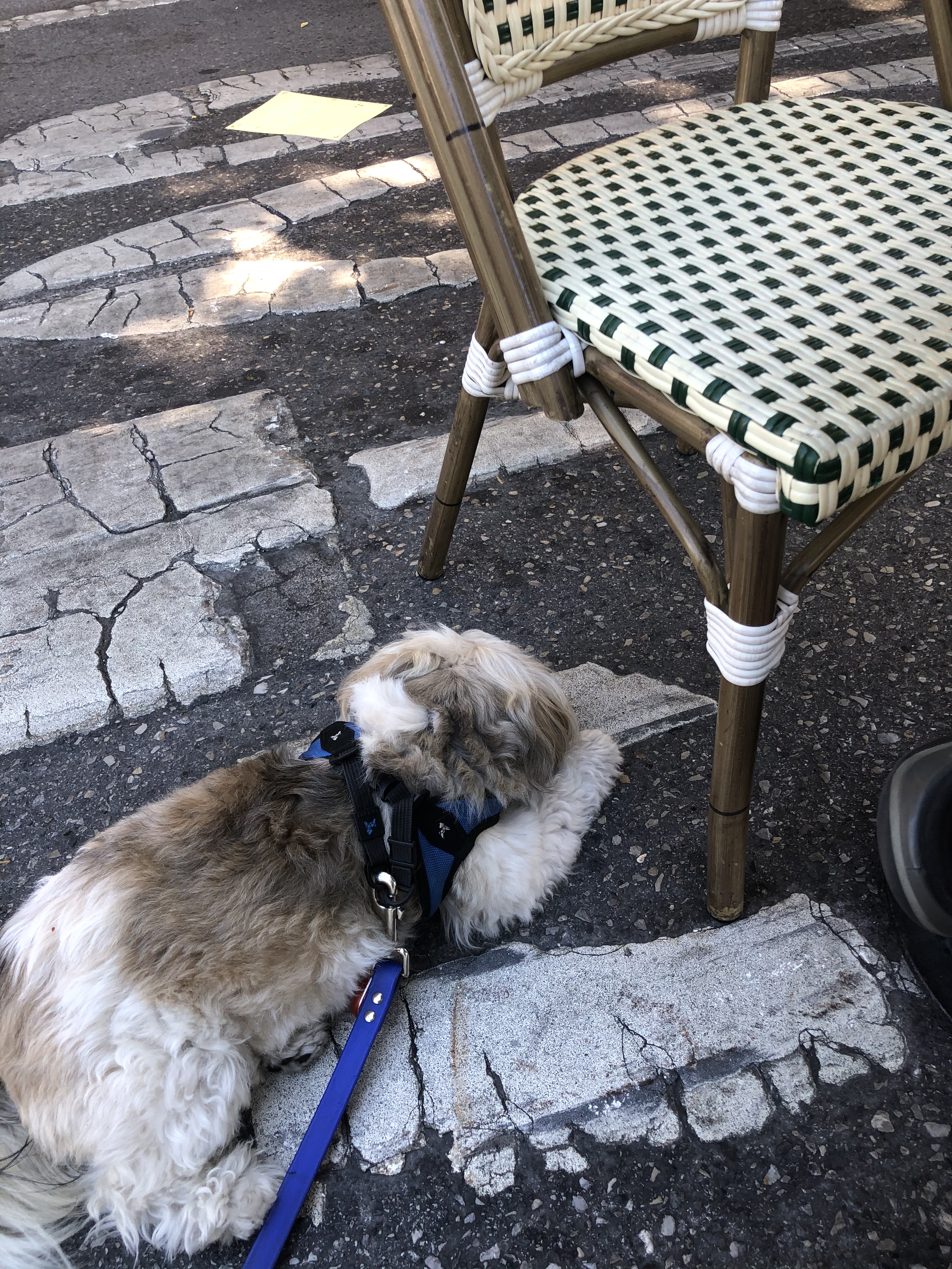 9C4DDDB1-F7B6-4C5C-A0E0-E36AA4C911F7